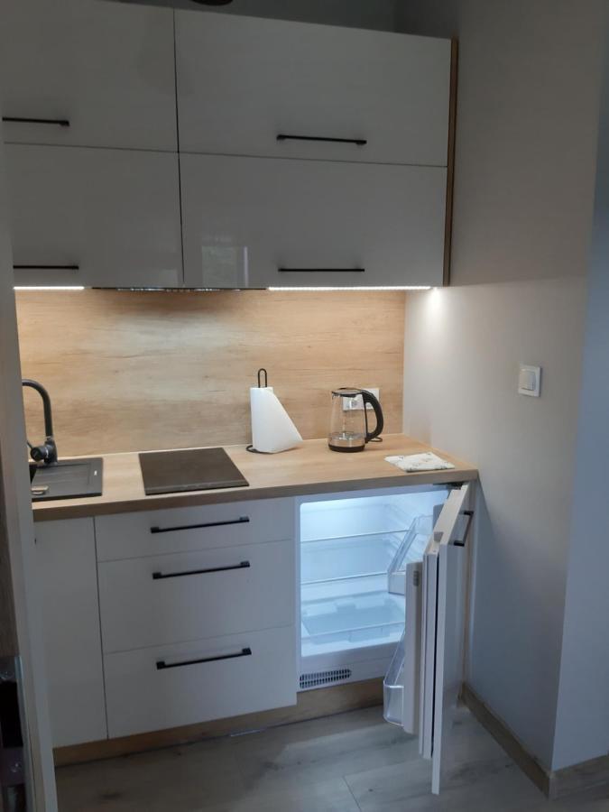 Apartamenty Nad Strumykiem ブレンナ エクステリア 写真